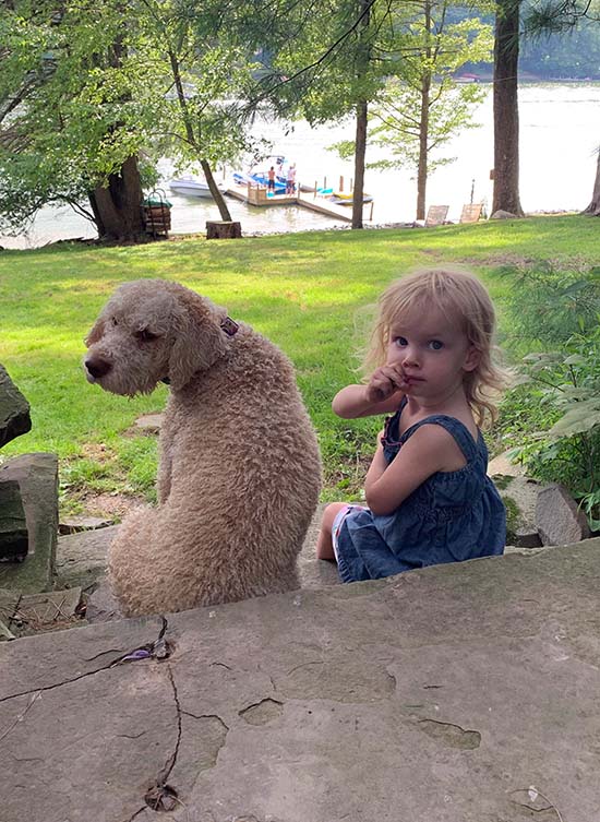 Wayne County Real Estate Photo